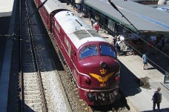 DSB Museumstog MX 1001 photographed in Odense 14. August 2004. The MX class was built by Nydquist & Holm AB (NOHAB) in Sweden licensed by General Motors. It was based on the MY class, but was built with a lower axle load for the Danish branch lines. The MX class was put in service in 1960 - 1962. A1A-A1A. Dieselelectric. 1.445 hp. Max speed 133 km/h - 83 mph. Length 18 300 mm. Weight 89 metric tonnes. Built in a number of 45. MX 1001 was put in service in 1960. Withdrawn from service in 1988 and taken over by the DSB Museumstog. Photographed in Odense during the railwaymuseum's 50th aniversary celebration of the first My class (from General Motors) being put in service in Denmark.